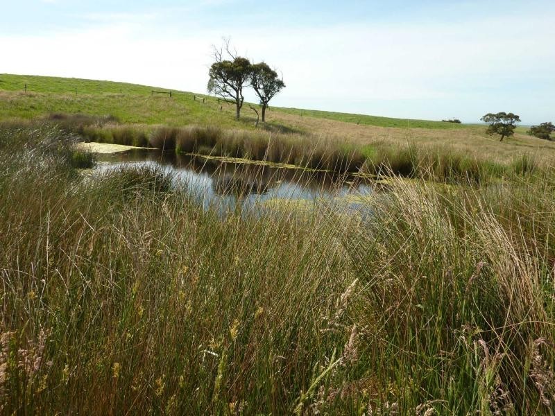 Lot 155 Springmount Road, Misty Glen, Inman Valley SA 5211