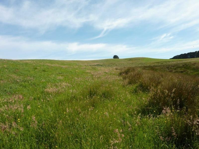 Lot 155 Springmount Road, Misty Glen, Inman Valley SA 5211