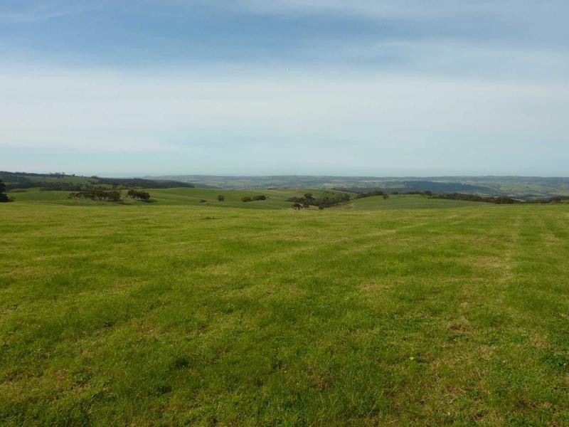 Lot 155 Springmount Road, Misty Glen, Inman Valley SA 5211
