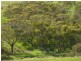 Lot 155 Springmount Road, Misty Glen, Inman Valley SA 5211