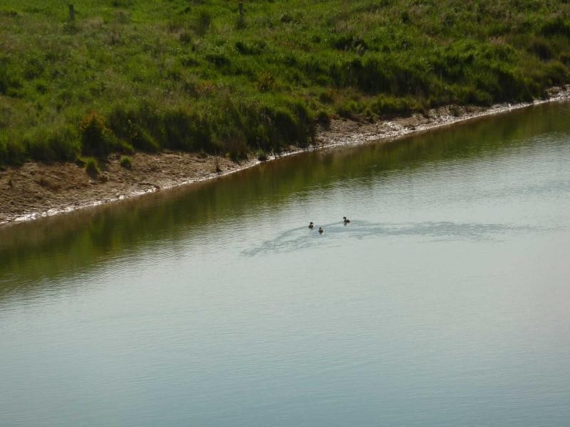 Lot 155 & 157 Springmount Road, Misty Glen & Glengarry, Inman Valley SA 5211