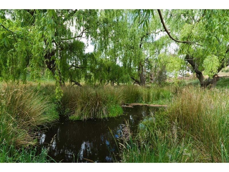 Lot 3 Cleland Gully Road, Mount Compass SA 5210