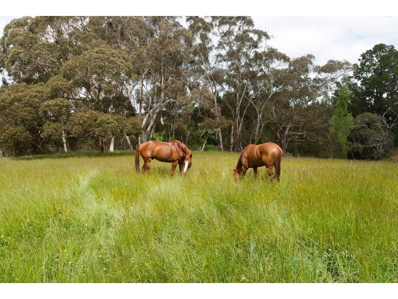 Lot 3 Cleland Gully Road, Mount Compass SA 5210