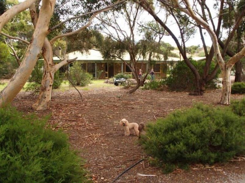 19 Ronald Street, Normanville SA 5204