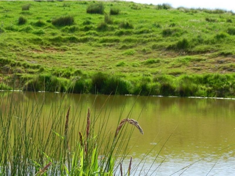 Lot 201 James Track, Myponga SA 5202