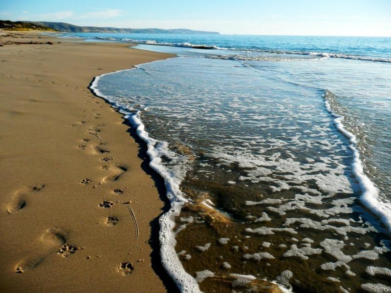 1 James Drive, Carrickalinga, Carrickalinga SA 5204