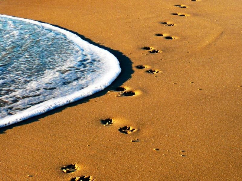 1 James Drive, Carrickalinga, Carrickalinga SA 5204