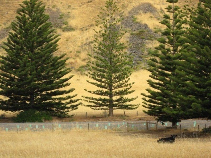 L100 South Road, Lady Bay, Normanville SA 5204