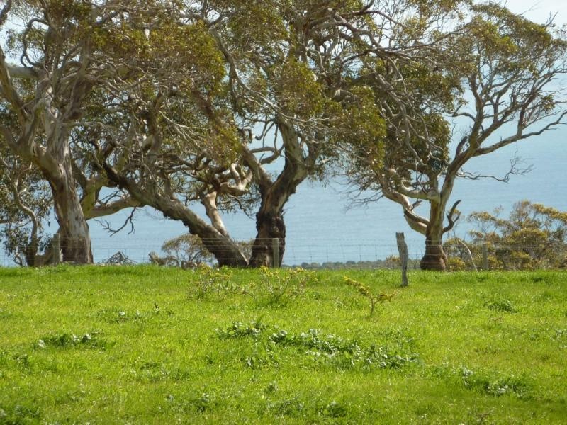 8 Sappers Road, Cape Jervis SA 5204