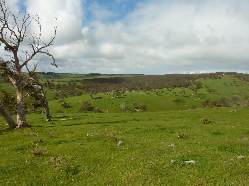8 Sappers Road, Cape Jervis SA 5204