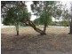 L13 Main South Road, Normanville SA 5204