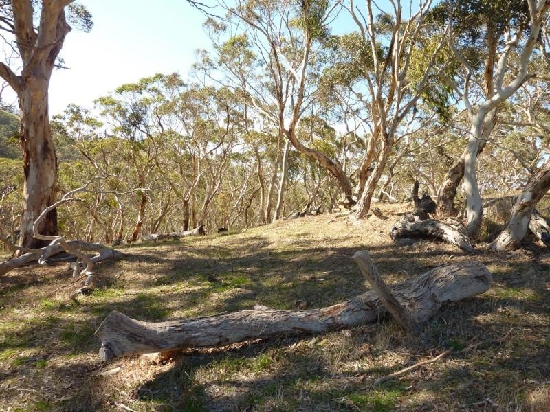 Myponga SA 5202