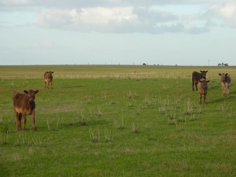 Lot 4 & 5 Kindaruar Road, Milang SA 5256