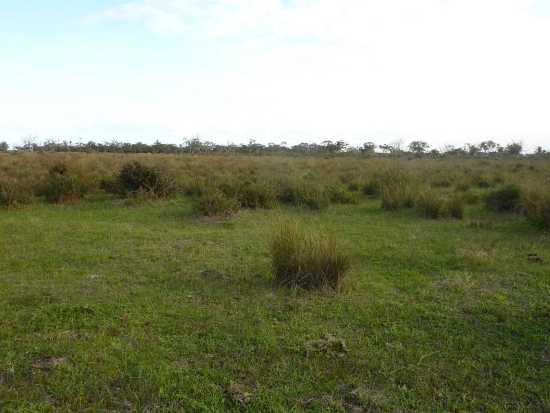 Lot 4 & 5 Kindaruar Road, Milang SA 5256