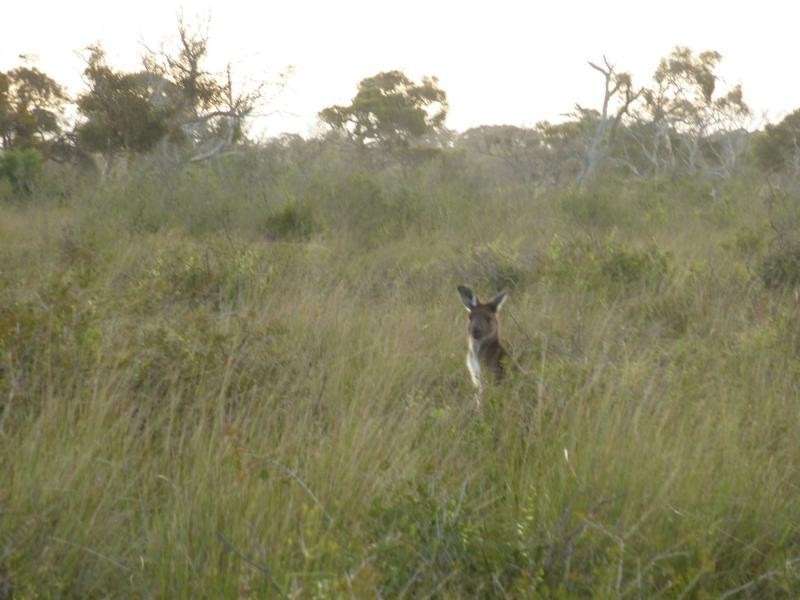 Lot 4 & 5 Kindaruar Road, Milang SA 5256