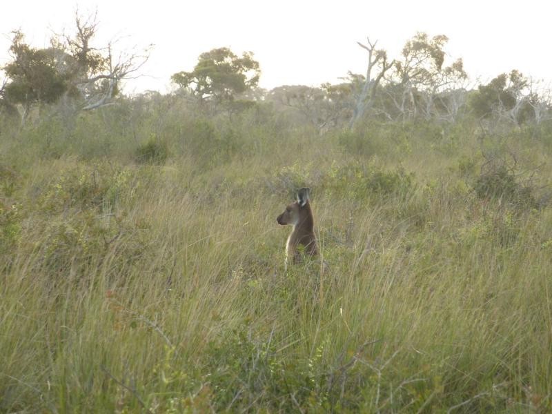 Lot 4 & 5 Kindaruar Road, Milang SA 5256