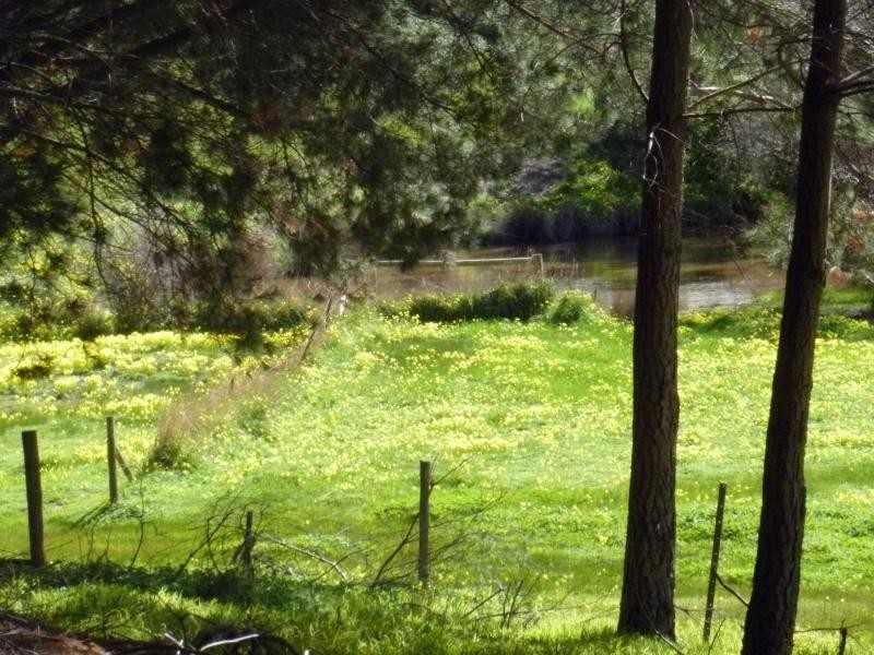 2357 Inman Valley Road, Bald Hills, Yankalilla SA 5203