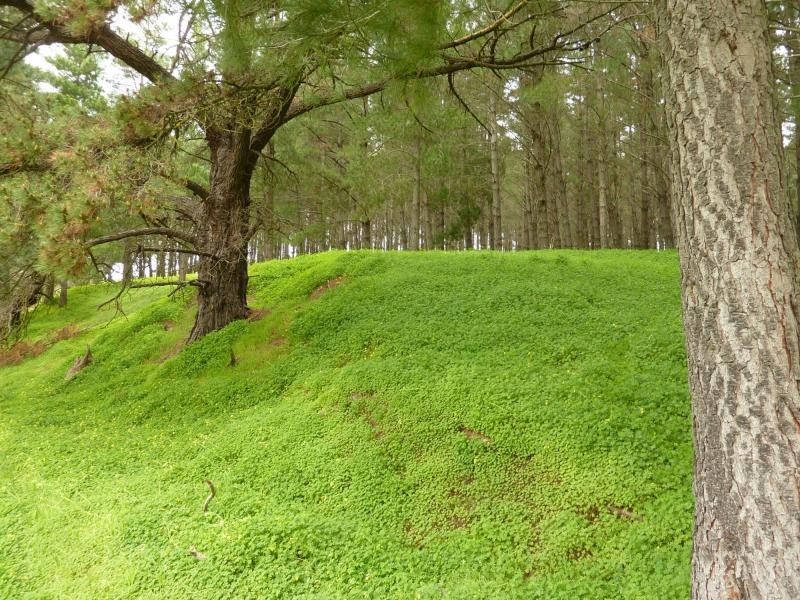 2357 Inman Valley Road, Bald Hills, Yankalilla SA 5203