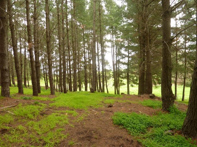 2357 Inman Valley Road, Bald Hills, Yankalilla SA 5203