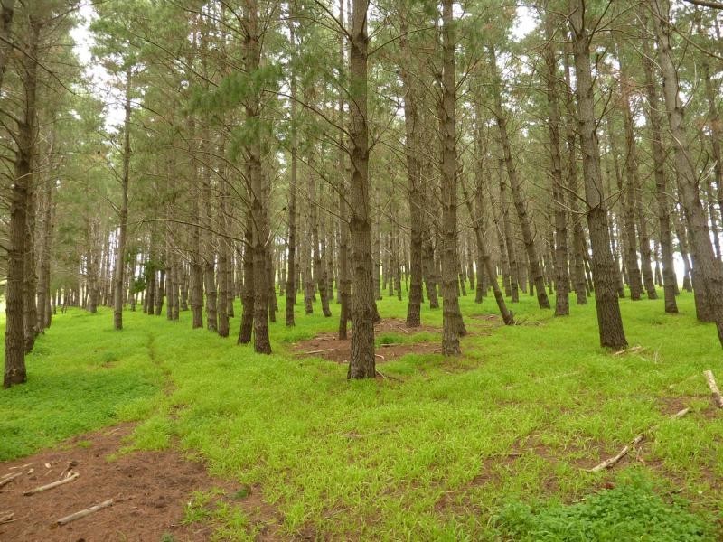 2357 Inman Valley Road, Bald Hills, Yankalilla SA 5203