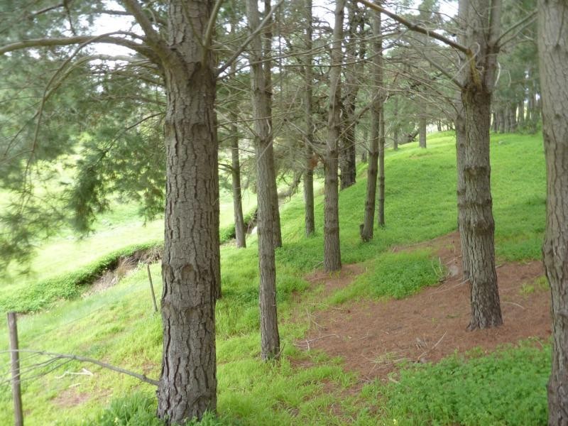 2357 Inman Valley Road, Bald Hills, Yankalilla SA 5203