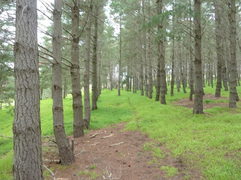 2357 Inman Valley Road, Bald Hills, Yankalilla SA 5203