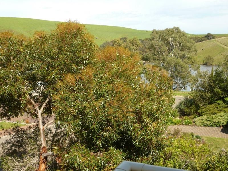 7 Bayview Avenue, Normanville SA 5204