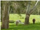 L1310 Inman Valley Road, Inman Valley SA 5211