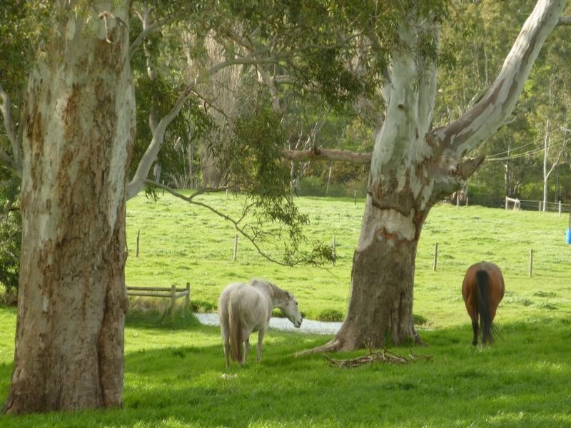 L1310 Inman Valley Road, Inman Valley SA 5211