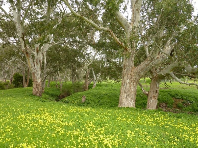 L1310 Inman Valley Road, Inman Valley SA 5211