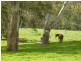 L1310 Inman Valley Road, Inman Valley SA 5211