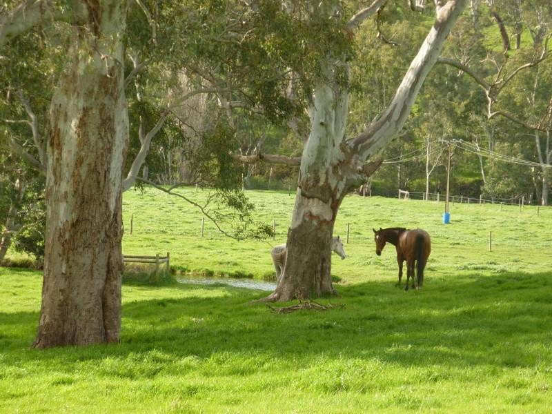 L1310 Inman Valley Road, Inman Valley SA 5211