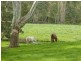 L1310 Inman Valley Road, Inman Valley SA 5211