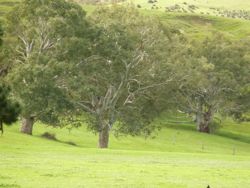 L1310 Inman Valley Road, Inman Valley SA 5211