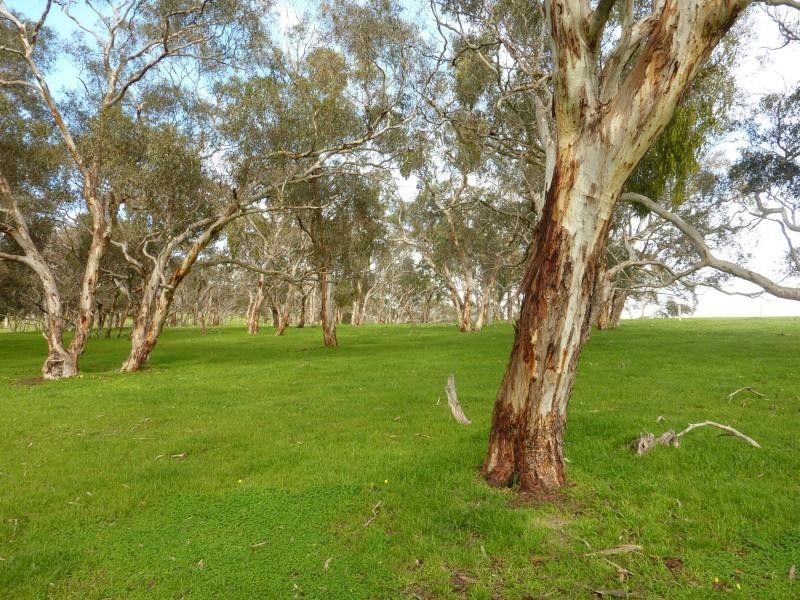 section 1090 Tonto Road, Normanville SA 5204