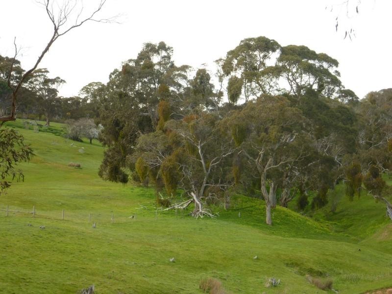 section 1090 Tonto Road, Normanville SA 5204