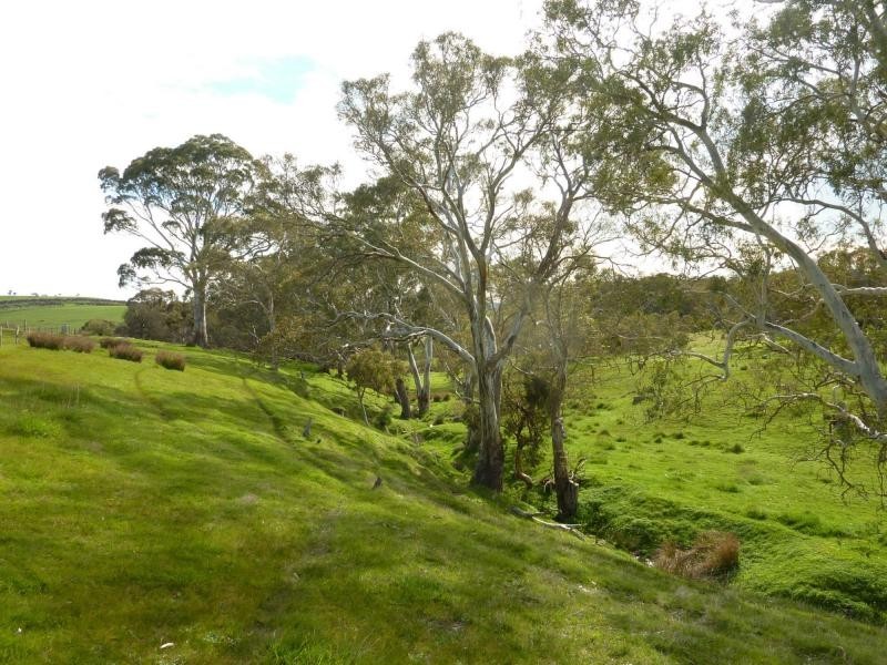 section 1090 Tonto Road, Normanville SA 5204