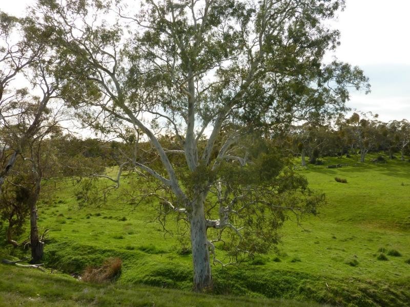 section 1090 Tonto Road, Normanville SA 5204