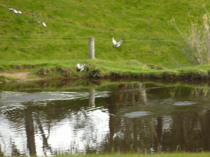 section 1090 Tonto Road, Normanville SA 5204