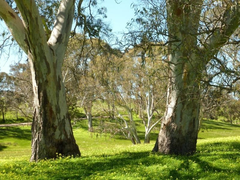 Section 1092 Tonto Road, Hay Flat Via Normanville, Normanville SA 5204