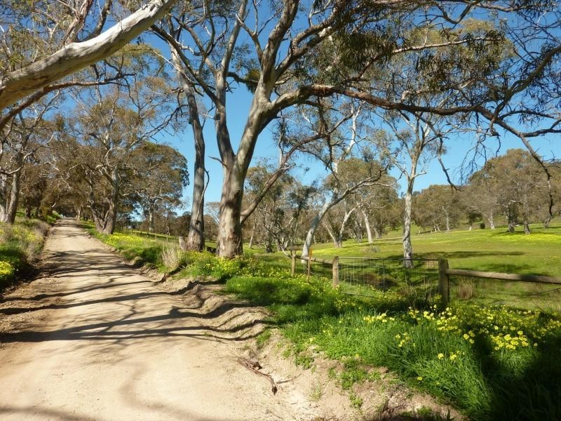 Section 1092 Tonto Road, Hay Flat Via Normanville, Normanville SA 5204