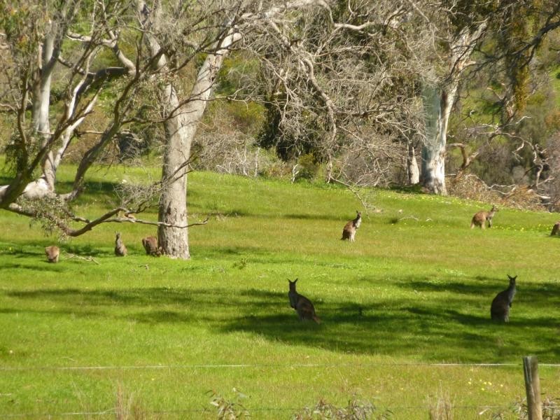 Section 1092 Tonto Road, Hay Flat Via Normanville, Normanville SA 5204