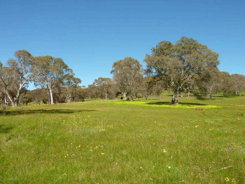 Section 1092 Tonto Road, Hay Flat Via Normanville, Normanville SA 5204