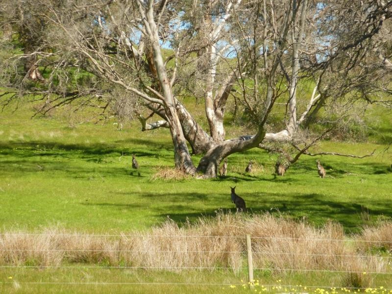 Section 1092 Tonto Road, Hay Flat Via Normanville, Normanville SA 5204