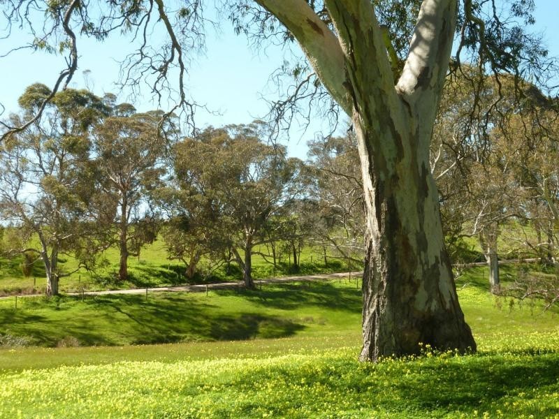 Section 1092 Tonto Road, Hay Flat Via Normanville, Normanville SA 5204