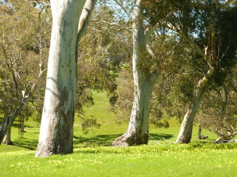 Section 1092 Tonto Road, Hay Flat Via Normanville, Normanville SA 5204