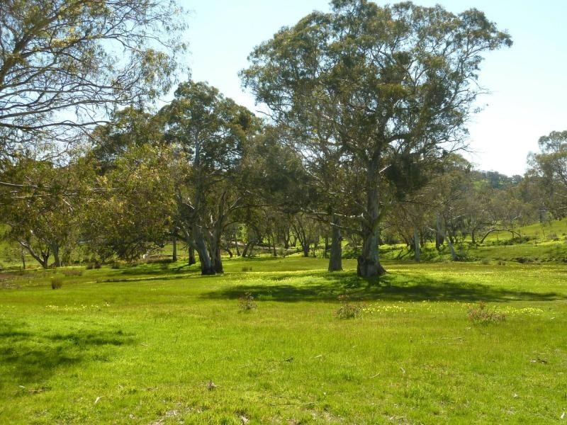 Section 1092 Tonto Road, Hay Flat Via Normanville, Normanville SA 5204