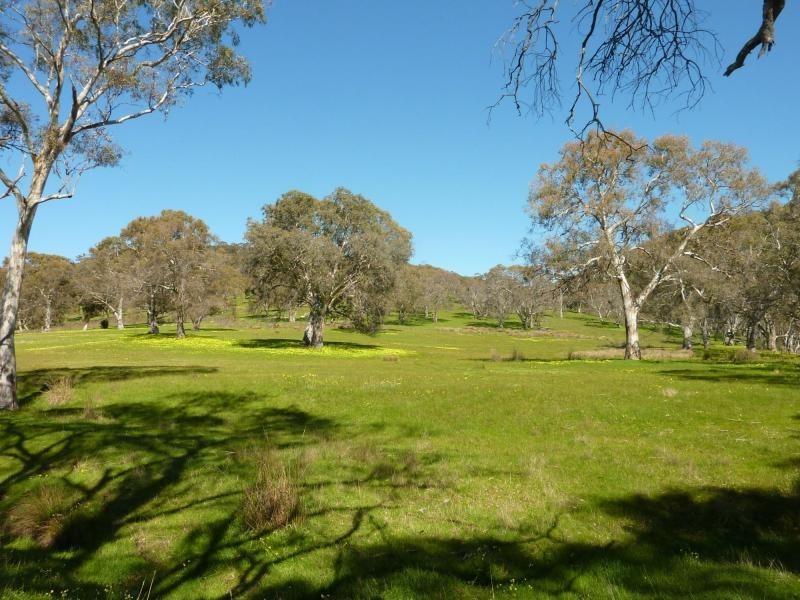 Section 1092 Tonto Road, Hay Flat Via Normanville, Normanville SA 5204