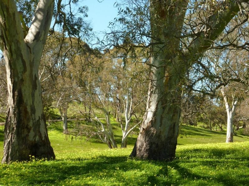 Section 1092 Tonto Road, Hay Flat Via Normanville, Normanville SA 5204