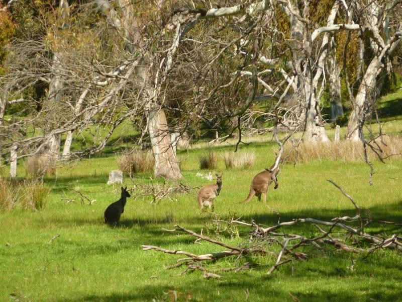 Section 1092 Tonto Road, Hay Flat Via Normanville, Normanville SA 5204